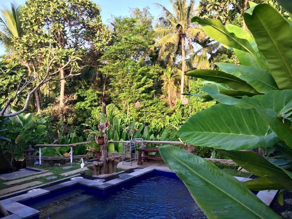 Kerta Family Bed And Breakfast Ubud Zewnętrze zdjęcie