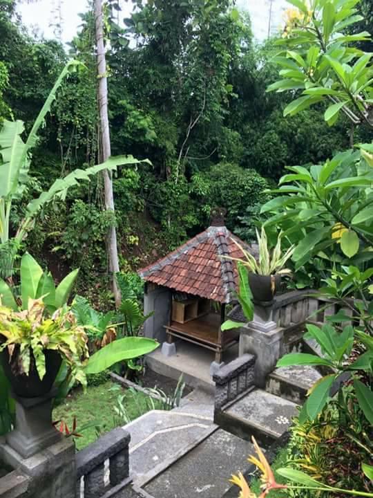 Kerta Family Bed And Breakfast Ubud Zewnętrze zdjęcie